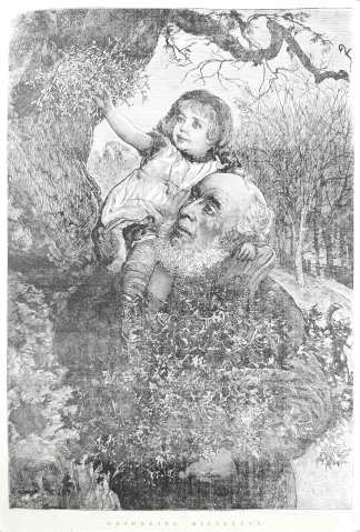 Gathering Mistletoe - Antique Print from 1882