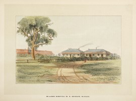 Willows Hospital-W. S. Scholtz, Surgeon.