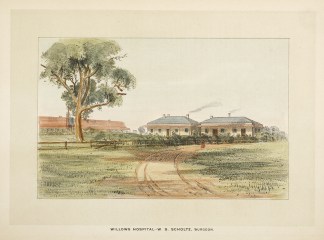 Willows Hospital-W. S. Scholtz, Surgeon. Regional Willows Hospital-W. S. Scholtz, Surgeon. Regional