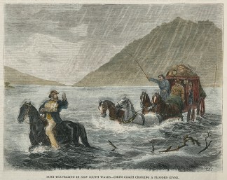 Bush Travelling in New South Wales-Cobb&… Australiana (General) Bush Travelling in New South Wales-Cobb&… Australiana (General)