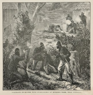 Desperate Encounter with Bushrangers at … Regional