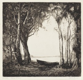 Swamp Ti Trees [Avoca]