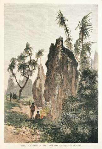 The Ant-Hills of Northern Queensland - Antique View from 1886