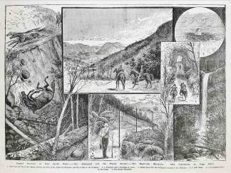 coastal-districts-of-new-south-wales-the-richmond - Antique View from 1886