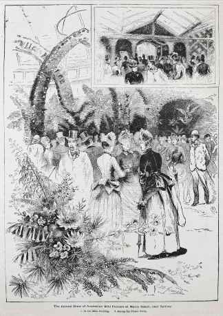 the-annual-show-of-australian-wild-flowers-at-manl-artist-edward-m-grosse-1920 - Antique Print from 1886