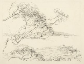 [Sydney Harbour] DRAWINGS