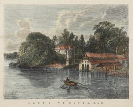 Lane Cove River, N.S.W. NSW - Sydney