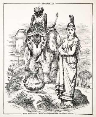 South Australia.-"I wonder how long that will last the ravenous creature." - Antique Print from 1873