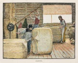 Packing. - Antique Print from 1887