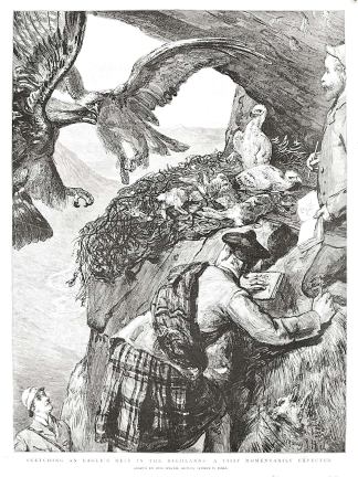 Sketching an Eagle's Nest in the Highlands: a Visit Momentarily expected. - Antique Print from 1892