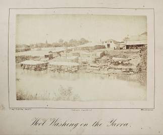 Wool Washing on the Yarra. - Antique Photograph from 1878