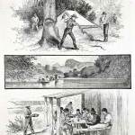 Timber - Mills, Timber Cutters, samples etc