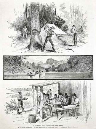 In the Tweed River District, New South Wales. - Antique View from 1886