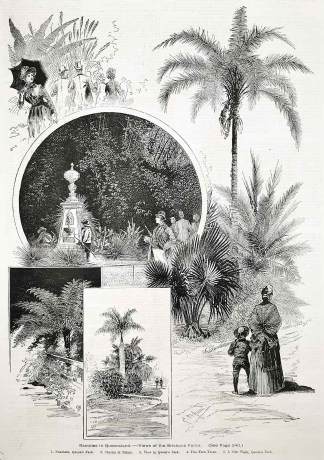Rambles in Queensland.-Views of the Brisbane Parks. - Antique View from 1886