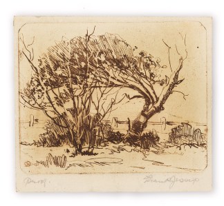 [Untitled] Australian Printmakers