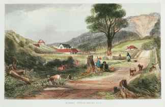 Mr. Brees' cottage, Karori Road. - Antique View from 1847