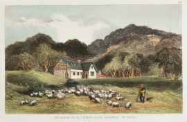 Residence of his Honor Judge Halswell at Ohiro.