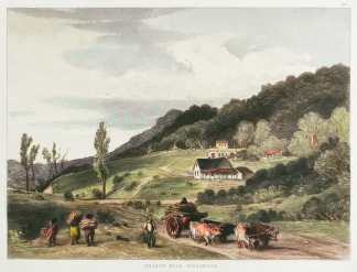 Tinakori road, Wellington. - Antique View from 1847