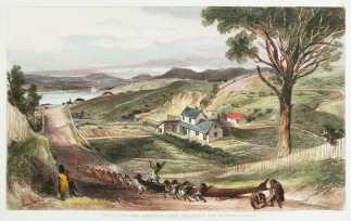 View looking down Hawkstone Street Wellington with Mr Brees Cottage. - Antique View from 1847