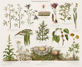 Schutzeinrichtungen I