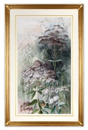 [Tasmanian wild flowers]