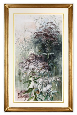 [Tasmanian wild flowers] PAINTINGS