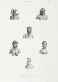 Vanikoro. Coifuures des Habitans des deux sixes.