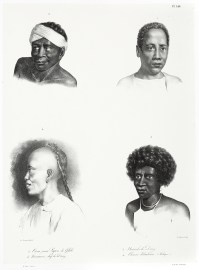 1. Cesar jeune Papou de Gilolo. 2. Kouranou, Chef de Dorey. 3. Naturels de Dorey. 4. Chinois d'Amboine (Moluques.)sainsonsa