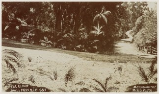 The Elbow Bulli  Pass Australian photographs