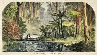 On the Watts River, Fernshaw. - Antique View from 1881