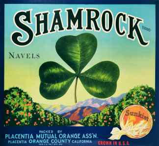 Shamrock brand / Navels. - Vintage Print from 1950