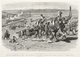 Military Manoeuvres in India: the Elephants of the Heavy Field-Battery taking Fright at a Passing Train.