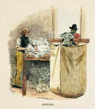 Sorting - Antique Print from 1887