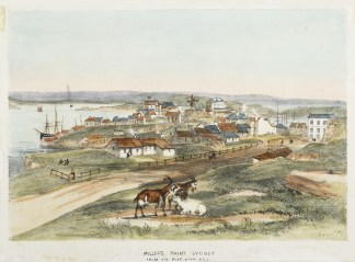 Miller’s Point Sydney from the Fla… Sydney