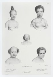 1. Touboho fille du chef Palou. 2. Toulê jeune fille. 3. Kaodai fils du chef Palou. 4. Lotou jeune homme. 5. Kower juene fille.