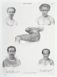 1. Naou jeune fille 2. Natif de Tonga habitant des iles Viti 3. Houitai chef chretien a Mafanga 4. Ata chef chretien a Hifo 5. Tatouage de la cuisse des hommes.
