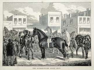 The Bourke-street horse show. - Antique Print from 1875