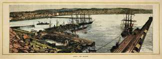 Oamaru, New Zealand. - Antique View from 1884