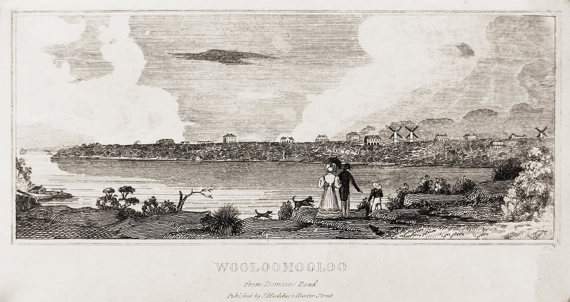 Wooloomooloo from Domain Road - Antique View from 1839