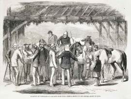 Reception at Hong-Kong of the News from Peiho.