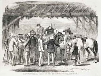 Reception at Hong-Kong of the News from Peiho. - Antique Print from 1859