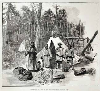 Collectors and tent on the mountains, altitude 13,500 feet. - Antique Print from 1891