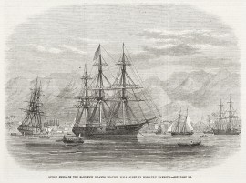 Queen Emma of the Sandwich Islands leaving H.M.S. Albert in Honolulu Harbour.
