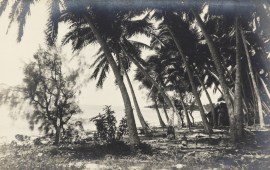 Rarotonga, Cook Islands