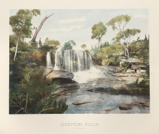 Weeping Falls Sydney Regional