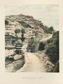 Watsons Bay Park N.S.W.