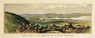 TASMANIA-Hobart Town as seen from the top of Mount Wellington. - Antique View from 1874