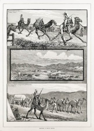 NSW-Sketches at Mount Browne. - Antique View from 1882