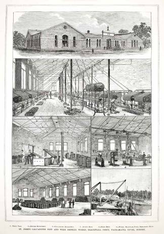 St. John's Galvanized Iron and Wire Netting Works, Blackwall Point, Parramatta River, Sydney. (Chicwick) - Antique View from 1884