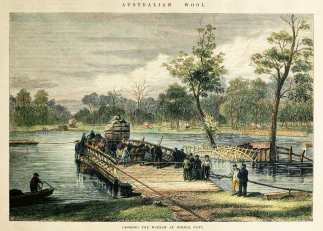 Australian Wool. / Crossing the Murray at Echuca Punt. - Antique View from 1874